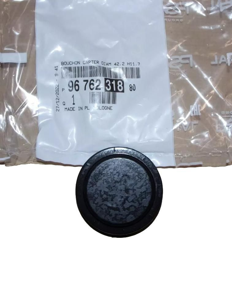 Casing cover, engine block 9676231880