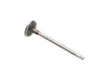 Intake valve 3639905