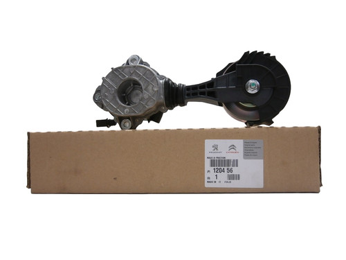 Spannvorrichtung, Poly-V-Riemen 120456