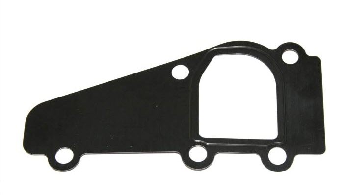 Gasket, coolant lens 134051