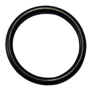 Gasket, thermostat 134089