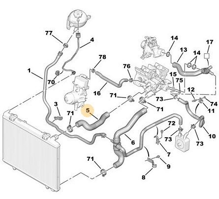 Radiator hose 1343KZ