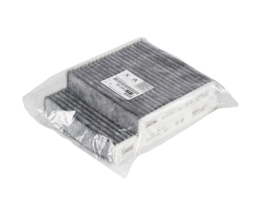 Cabin filter 6447VZ