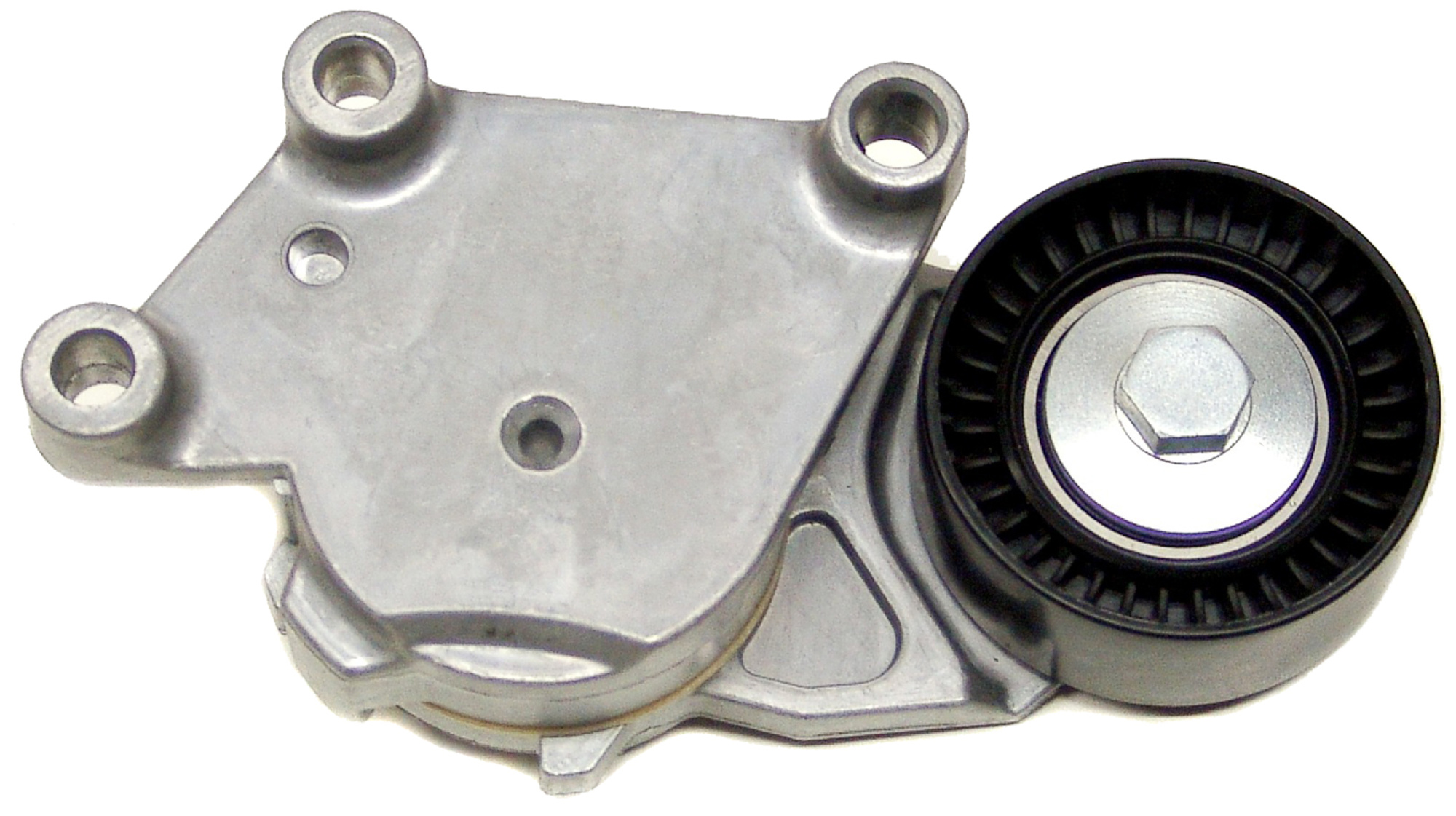 Correa Poly V 1539584