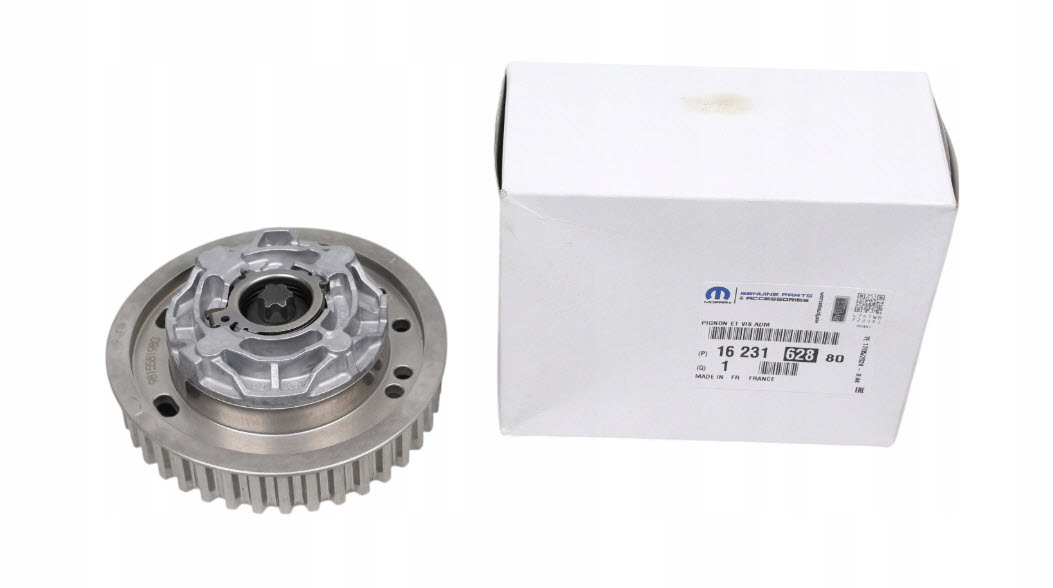 Gear, camshaft 1623162880