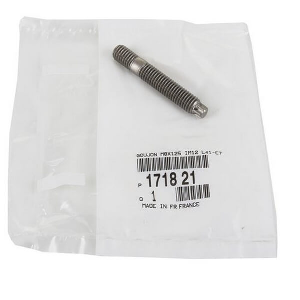Screw, exhaust manifold 171821