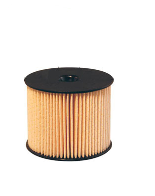 Fuel filter 1906A5