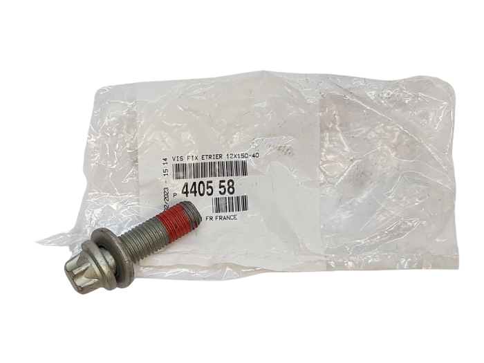 Screw, brake caliper 440558