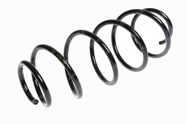 Chassis spring 5002TS