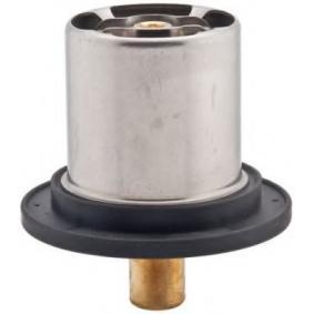 Thermostat, Kühlmittel 133873