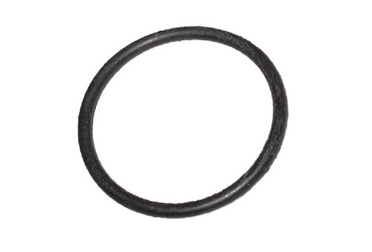 Gasket, intake manifold 593360