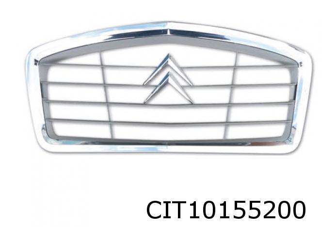 Radiator grille 1700020