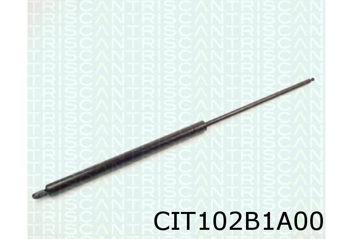 Gas spring, boot 95496134