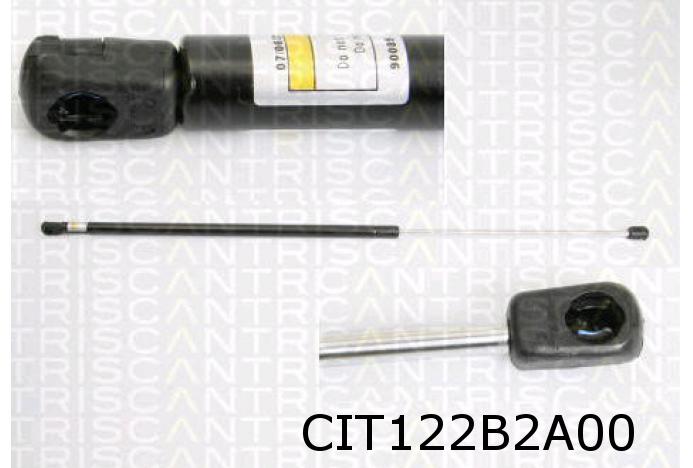Gas spring, boot 96095456