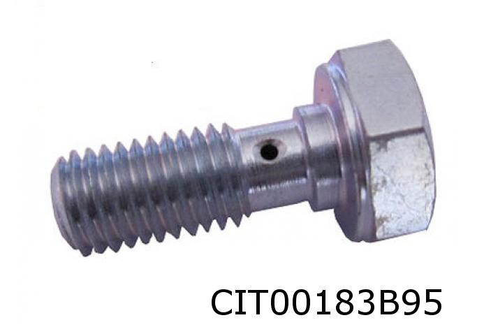 Gasket, cylinder head 10233