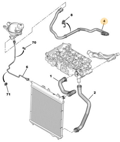 Radiator hose 3640048