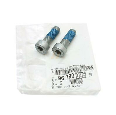 Screw, brake caliper 4405