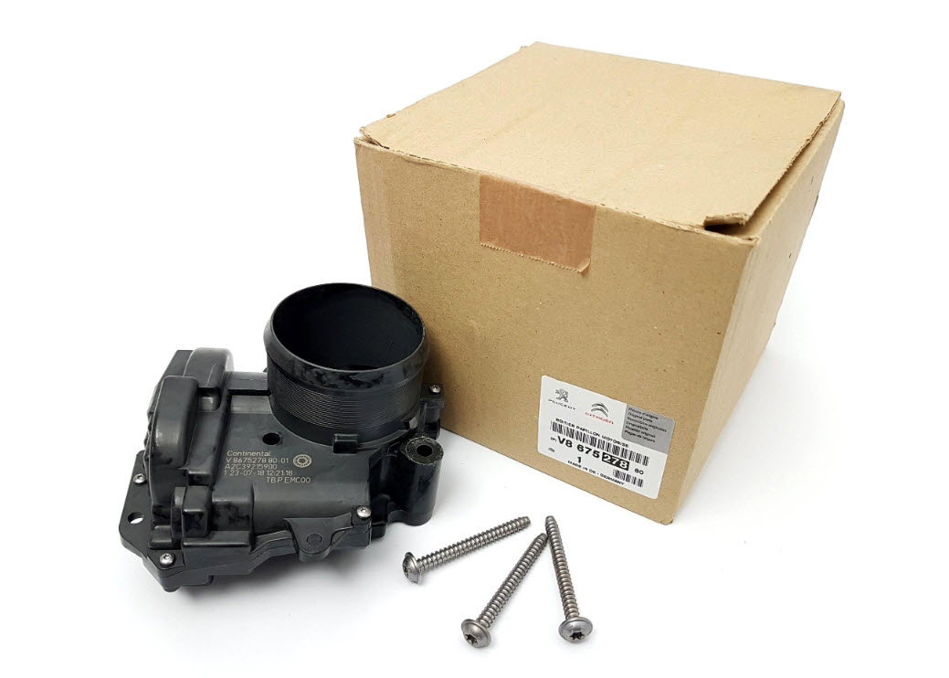 Throttle body 163672